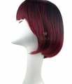 Ombre Colour Bob Full head Wig  - Gallery #3